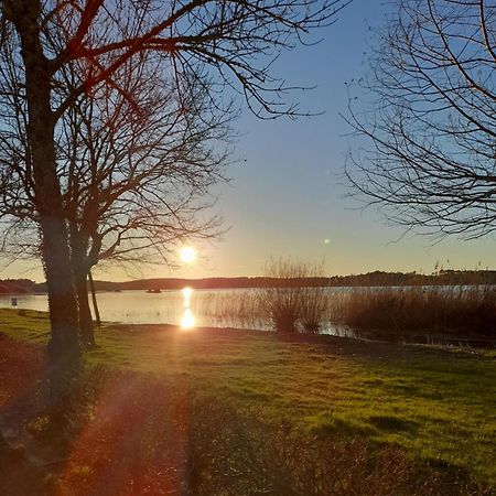 Appartement Les Terrasses Du Lac Aureilhan  Екстер'єр фото