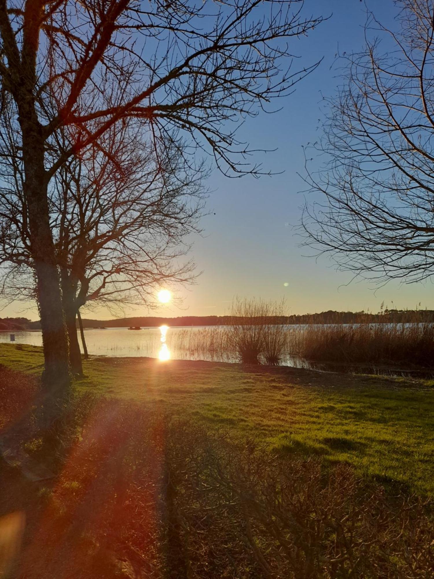 Appartement Les Terrasses Du Lac Aureilhan  Екстер'єр фото